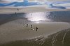 Midweek Oostelijke Waddenzee 5 dagen (4 - 8 mei 2026)