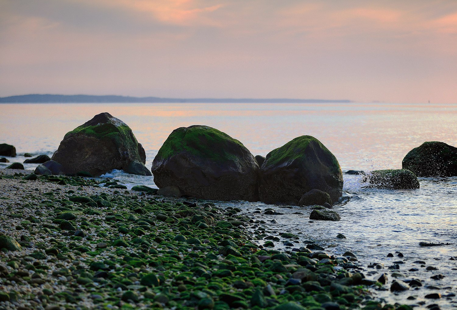 ALISON PERRY PHOTOGRAPHY