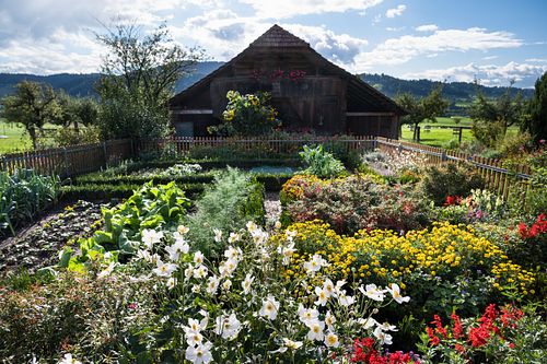 Im Ried bei Zollbrück
