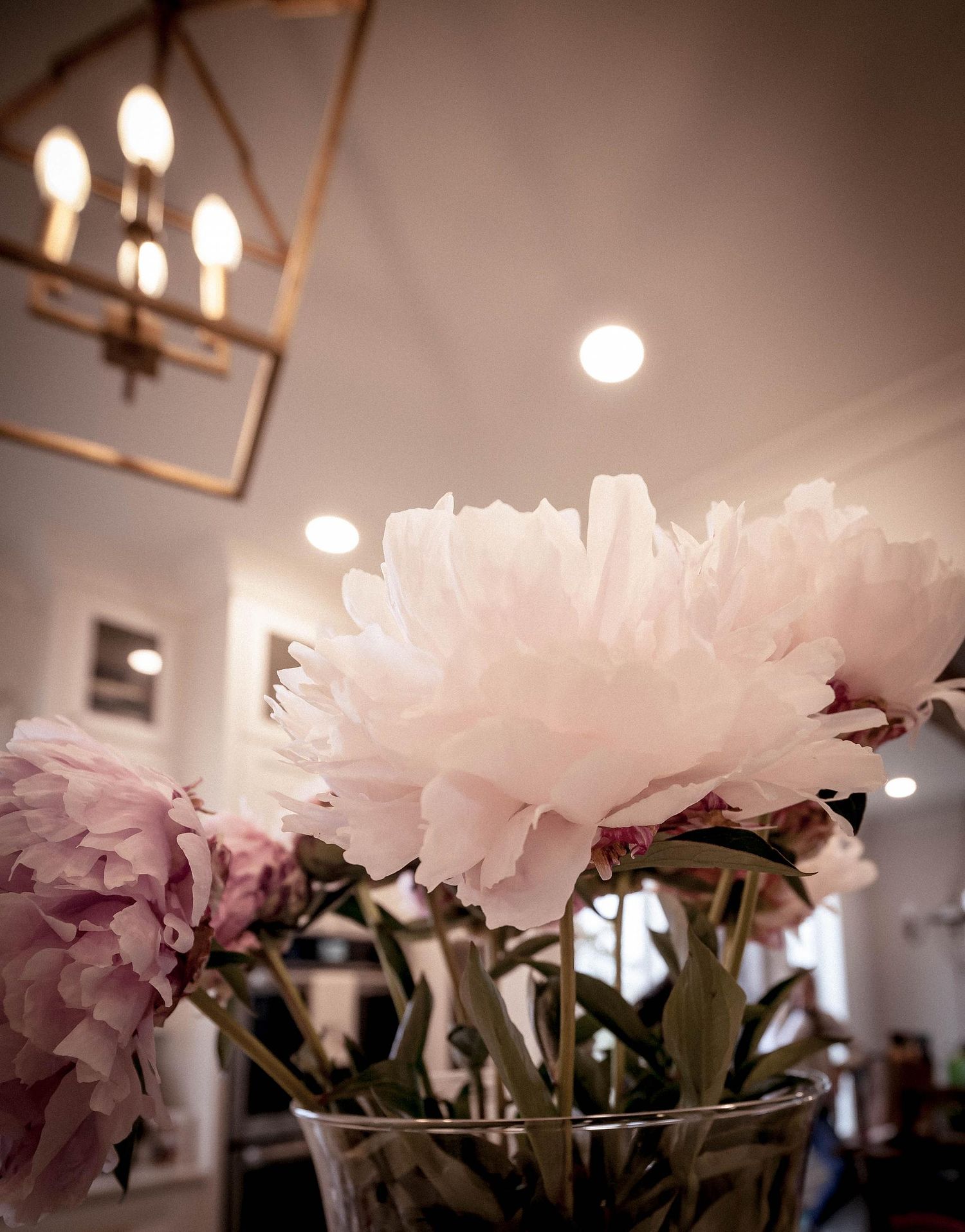 Joy Collective Photography