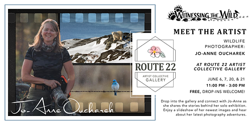 Meet the Artist