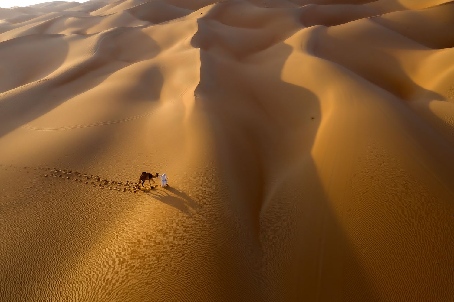 Rashed Alsumaiti's offical website