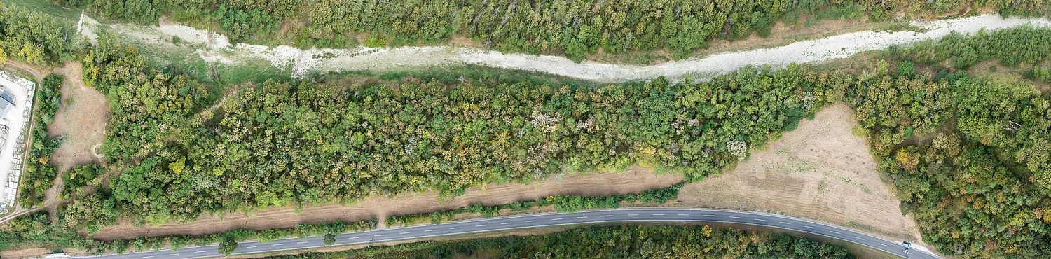 Dokumentation vor und nach durchgeführten Maßnahmen