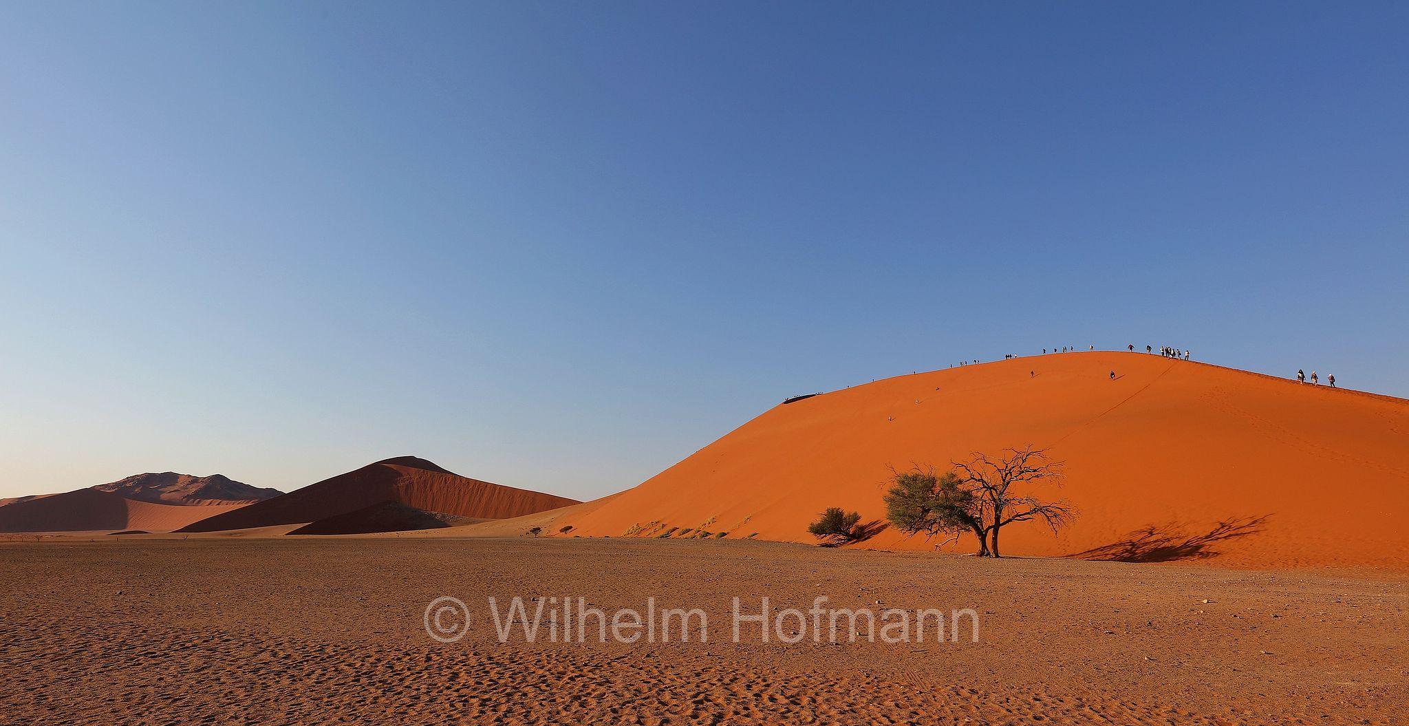 Dune 45, Düne 45, Duna 45, Sossusvlei, Namib-Naukluft National Park, Namib-Naukluft-Park, parco nazionale di Namib-Naukluft, Namibia