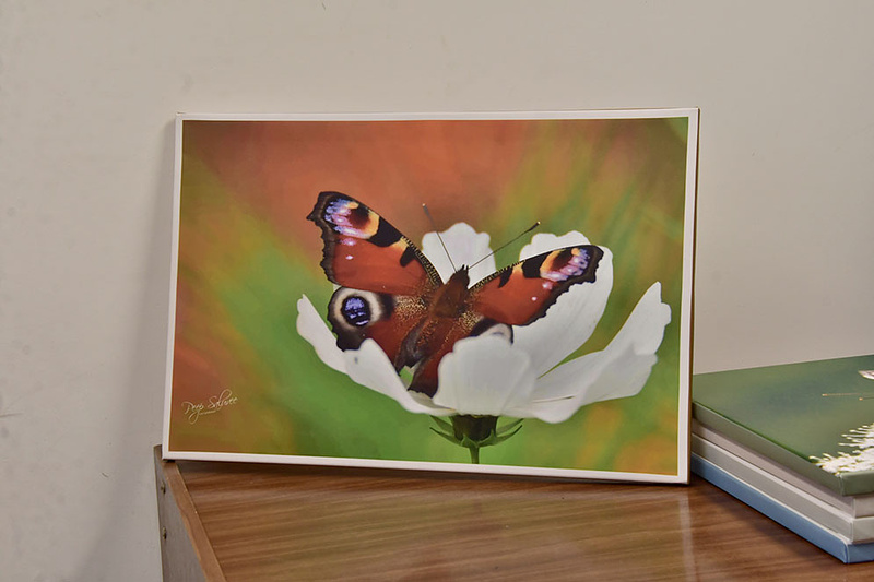 MÜÜA NÄITUSE OLNUD LÕUENDIPILTE