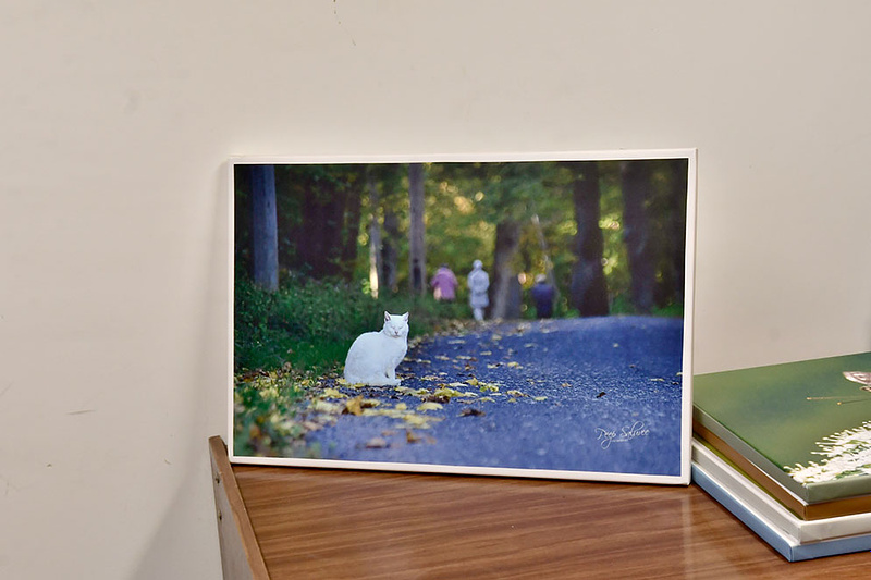 MÜÜA NÄITUSE OLNUD LÕUENDIPILTE