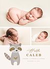 Birth Announcement