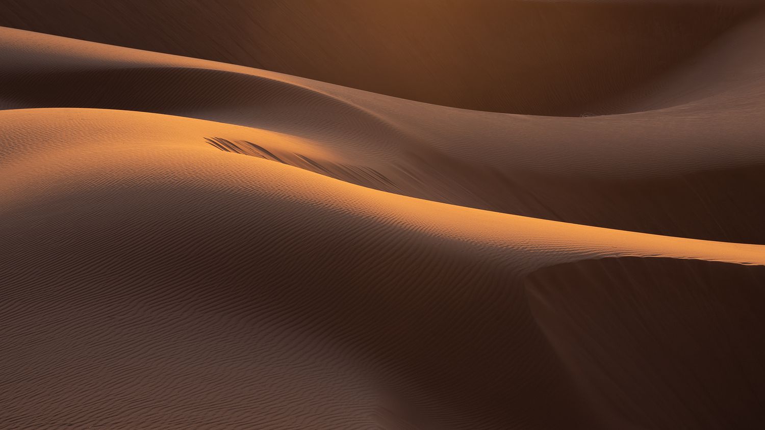 Agnes Anna Photography