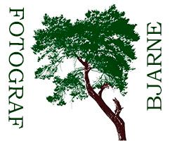 Bjarne Holmgren photography