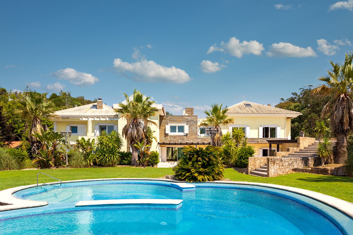 PEDRO BRÁS PHOTOGRAPHY