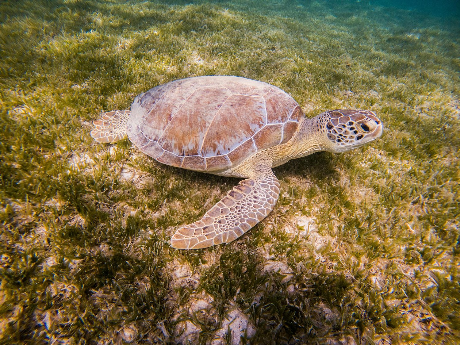 USVI.Photos