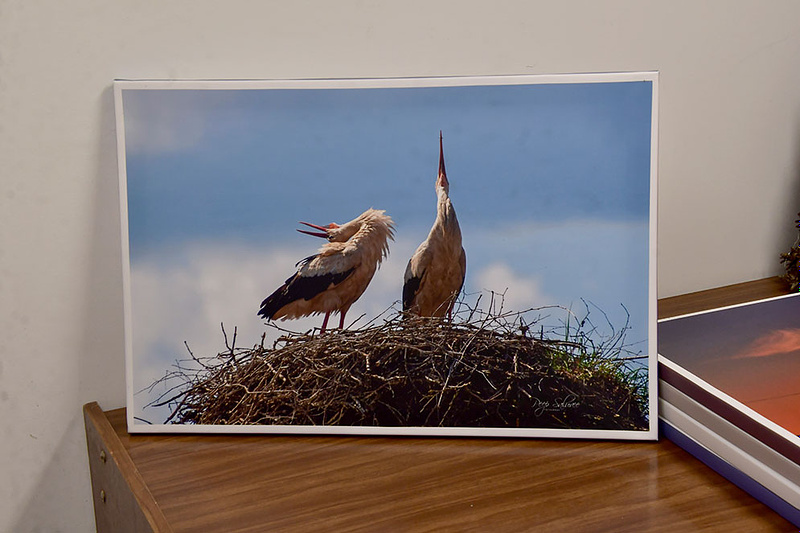 MÜÜA NÄITUSE OLNUD LÕUENDIPILTE