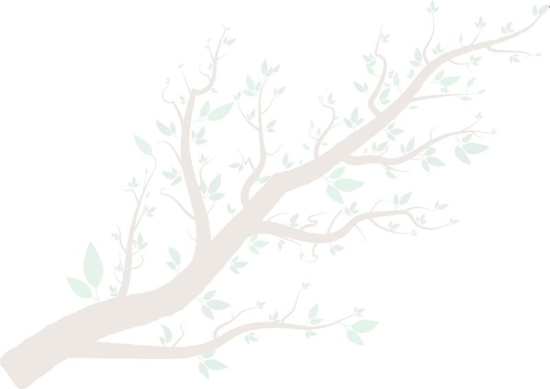 Studioet er stengt grunn av sjukdom