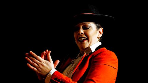 Danseuse de Flamenco en Andalousie