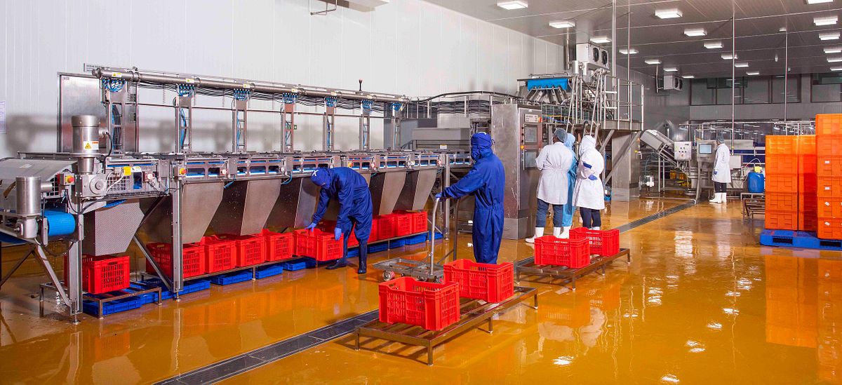 Inside view of the food processing machine.