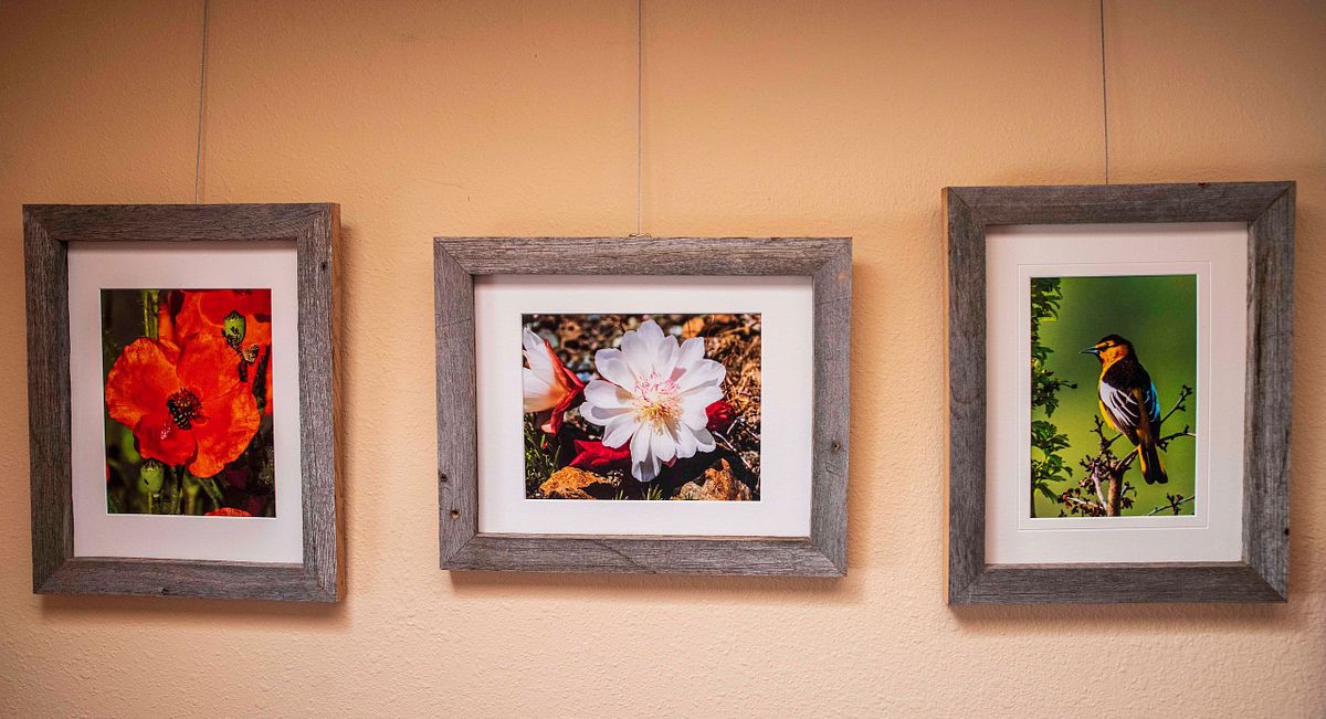 small format framed examples