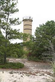 Cool Places for an Eastern Shore Wedding Proposal