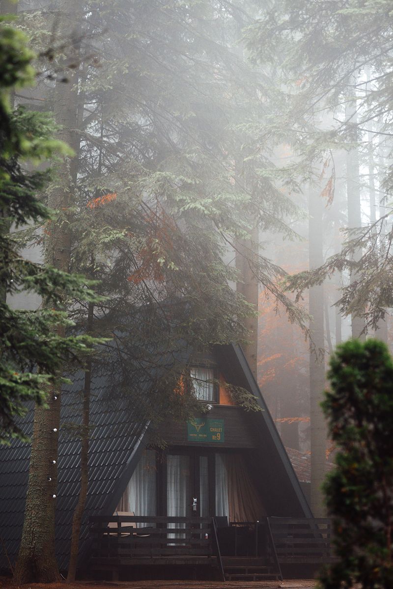 Фотосесия на открито