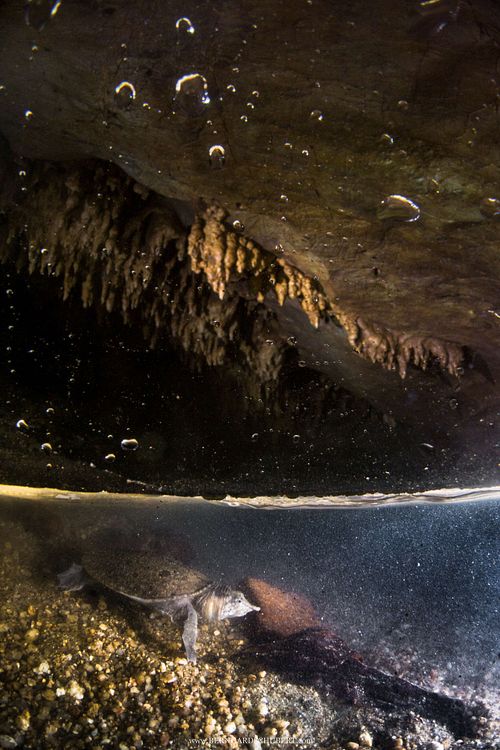 Höhlenbewohner durch Zufall