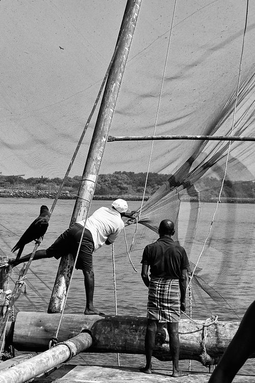 Cochin | India | 2019