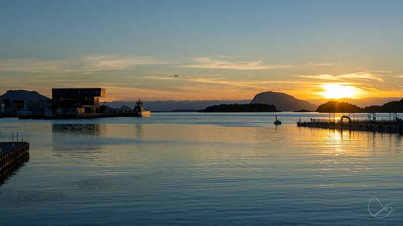 Fredag 9. september er eg ute mellom kl 12 og 14