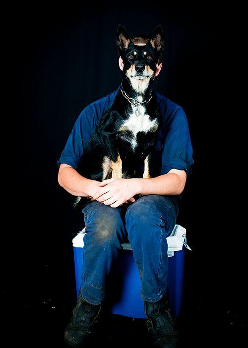 Kelpie and tradesman owner