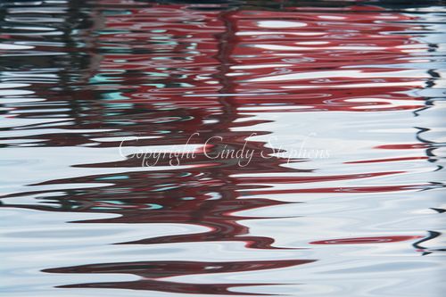 Striking image showcasing vibrant red reflections highlighted by turquoise, soft blues, and gentle greys, capturing the artist's unfiltered vision of beauty just beneath and above the surface