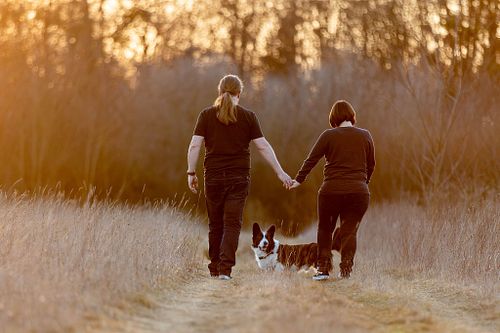 Nat&uuml;rlich d&uuml;rft ihr auch mehr Bilder ausw&auml;hlen.