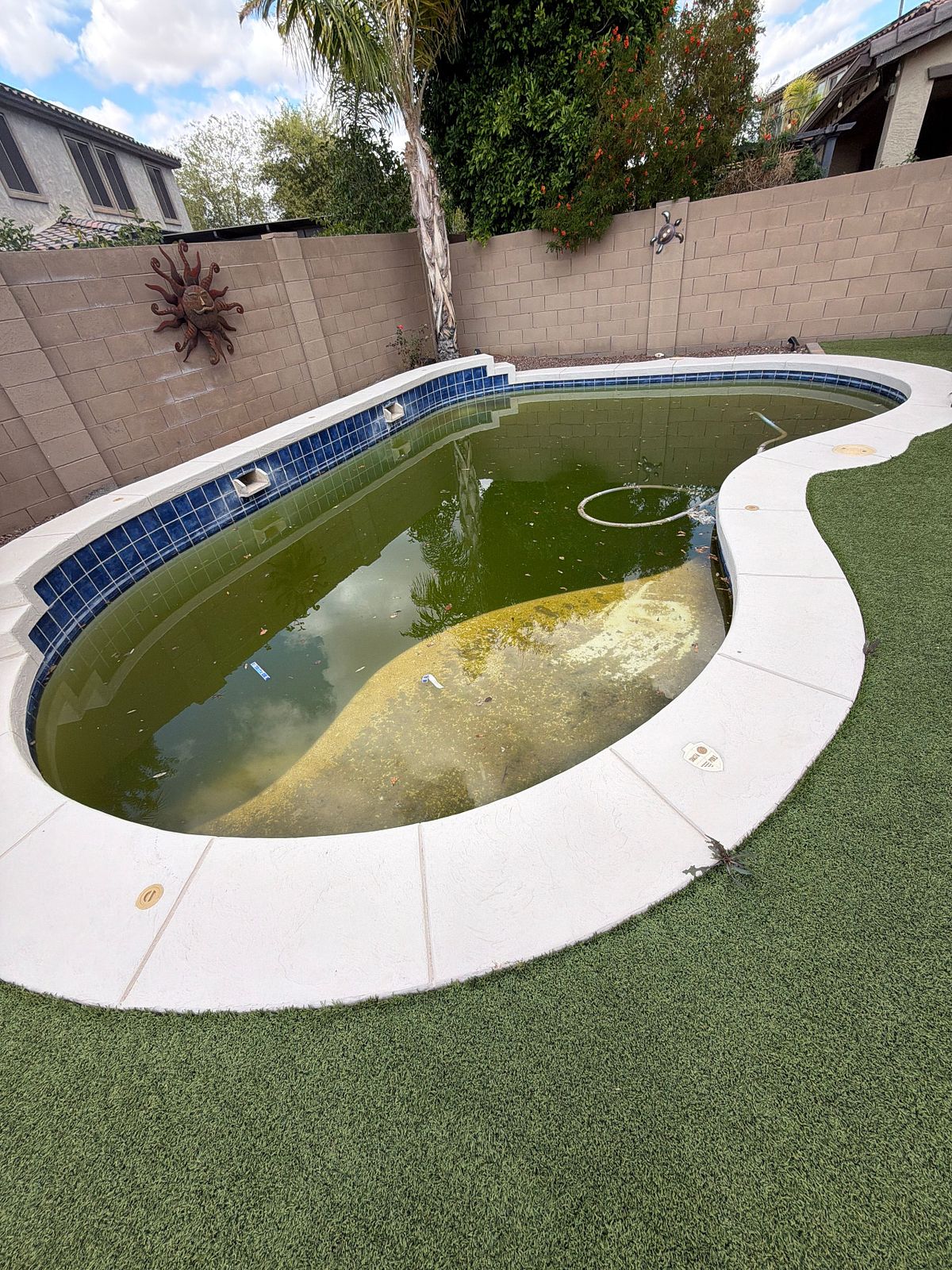 Green pool taken over by algae