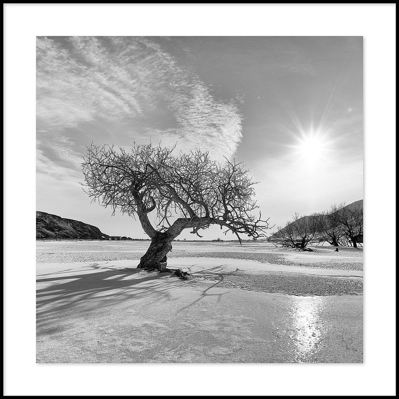 Overlevende bij Baikal