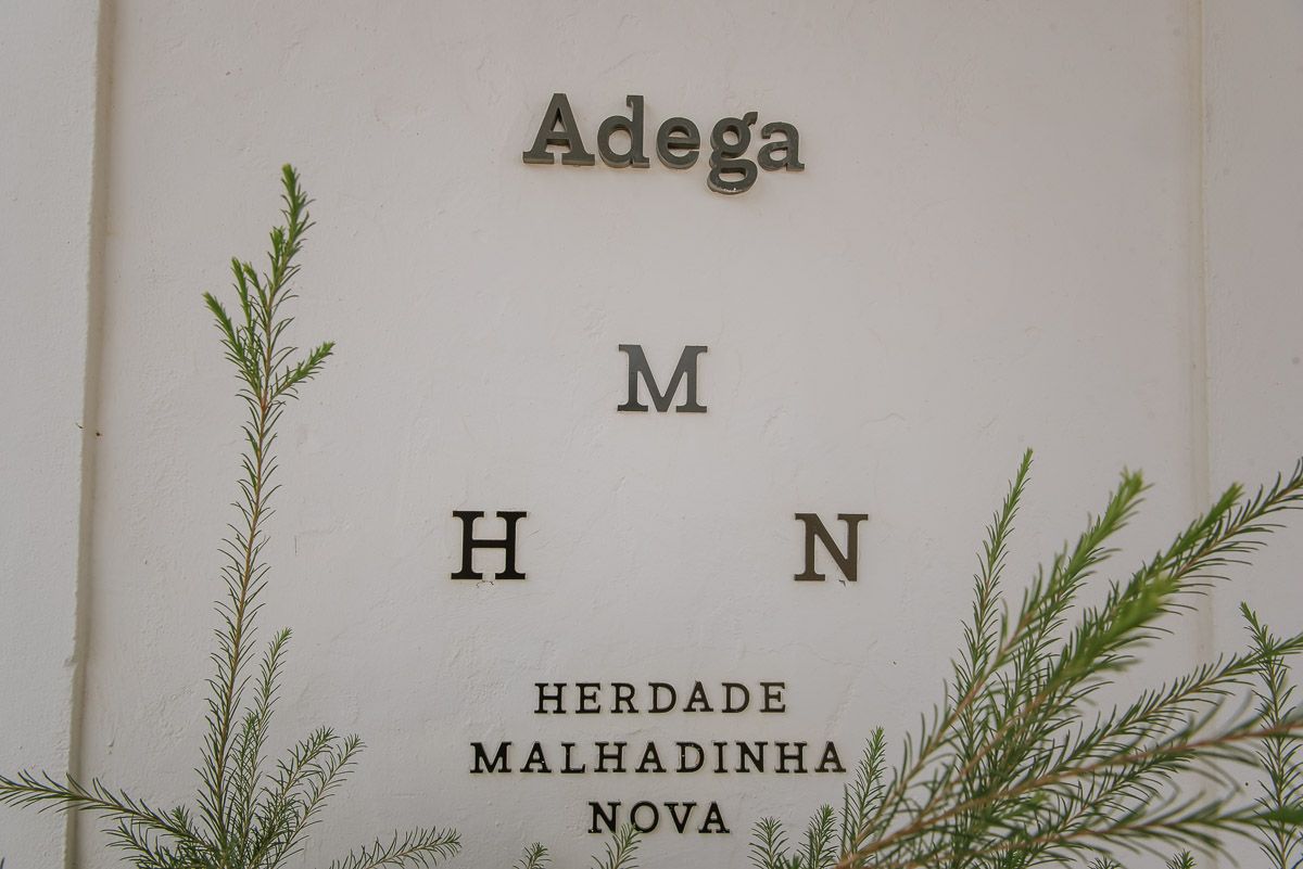 Raquel & Pedro (casamento)