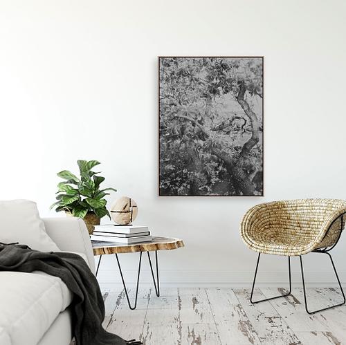 Soft Light, Quiet Form