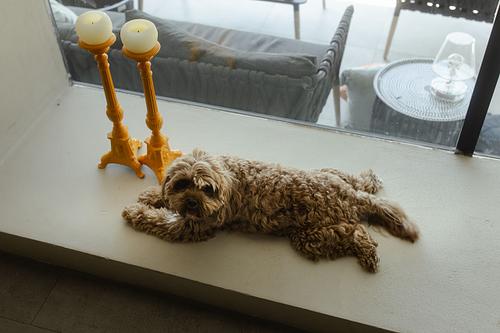 Matrimonio destination wedding La Cerbara colline Pesaro fotografie eleganti