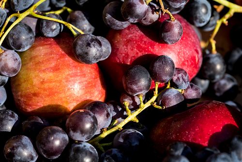 Schrebergarten-Ernte