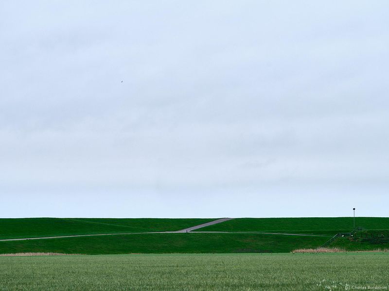 The Next Step (20 - 22 november 2026)