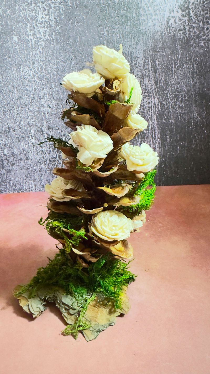 White Fairy Pine Cone Tree