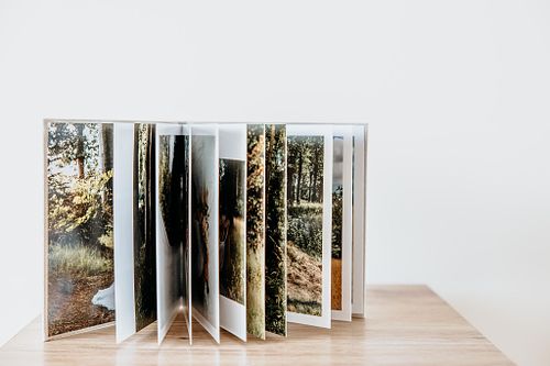 Met een 20 à 25 foto's dat de fotograaf kiest uit jullie huwelijksreportage