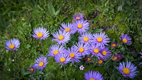 Kapelle Wilder Geschinen