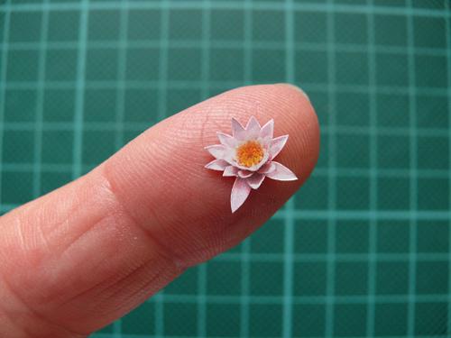 Emotion in Color  ✦  Stories Through Color  ✦  Everyday Moments Transformed  ✦