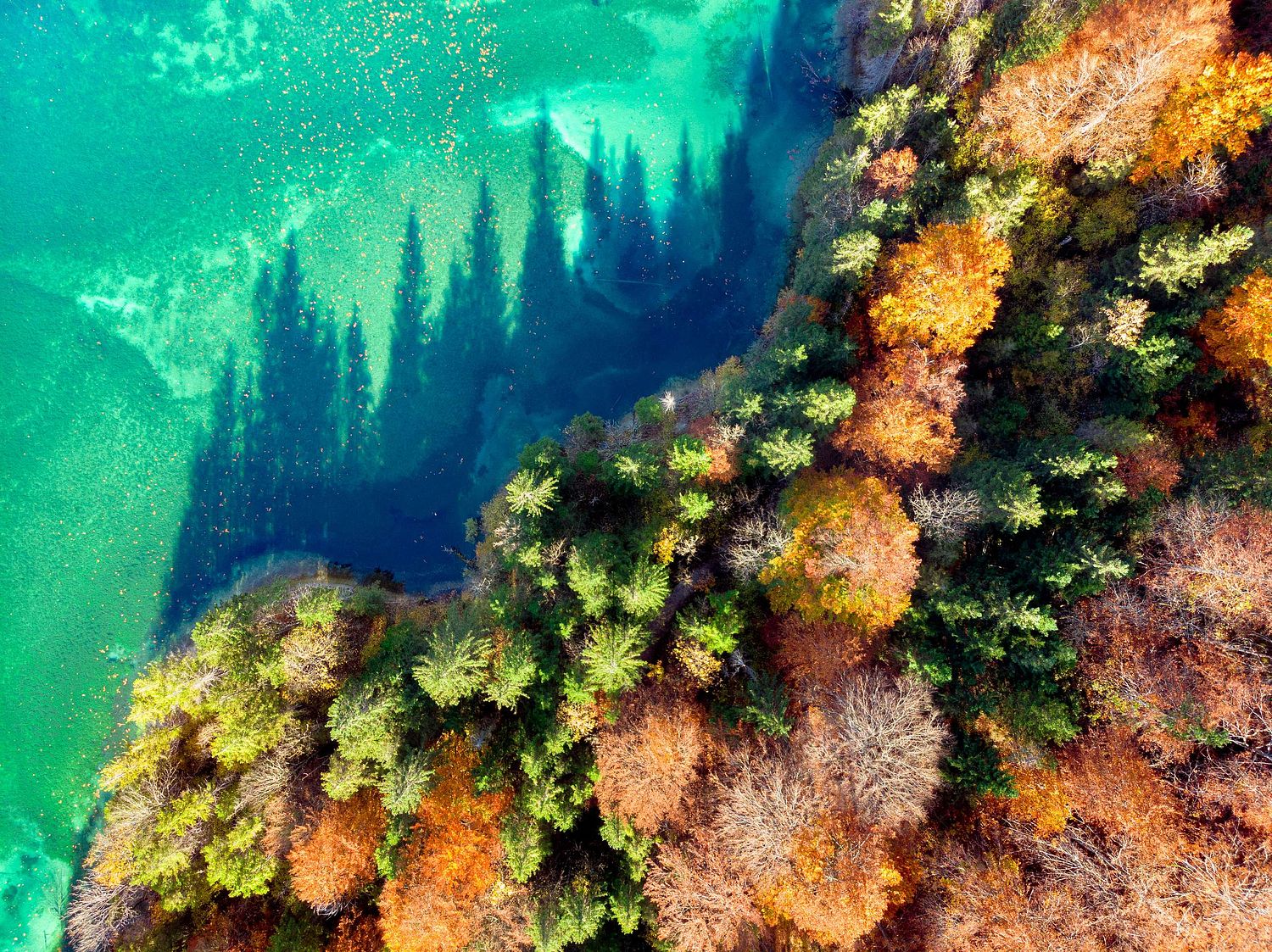 Alpine Lake detail