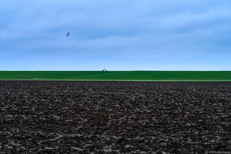 The Next Step (20 - 22 november 2026)