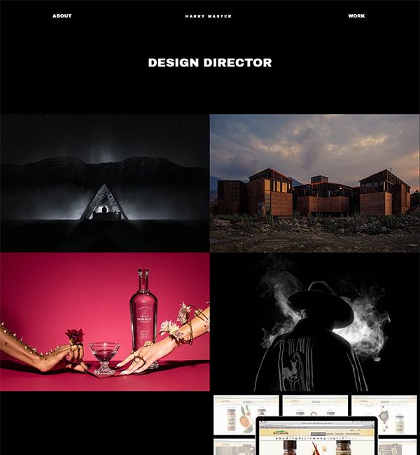 Harry Master Portfolio Website Examples