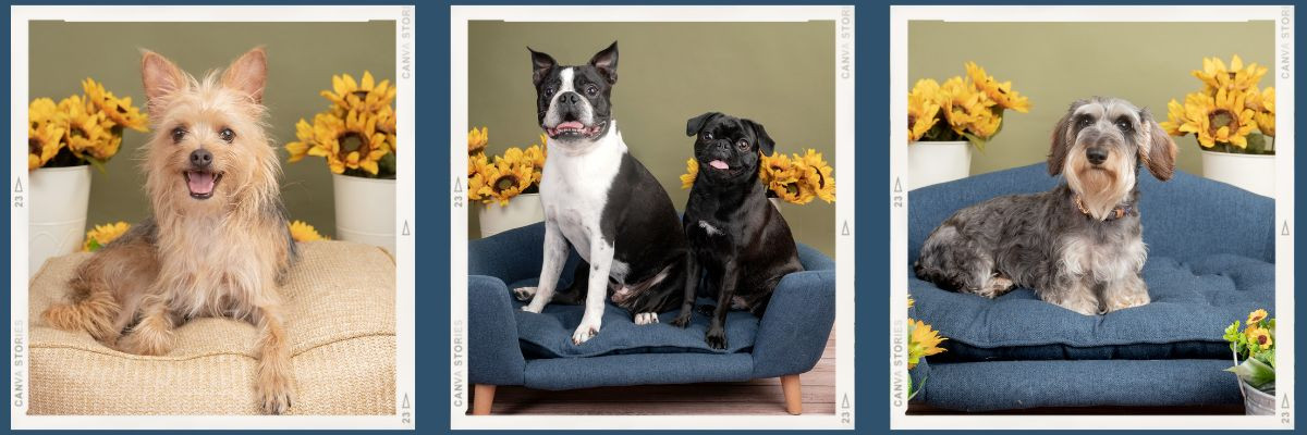 https://gretchenotero1.sproutstudio.com/book/6493440177c2c7.77119077