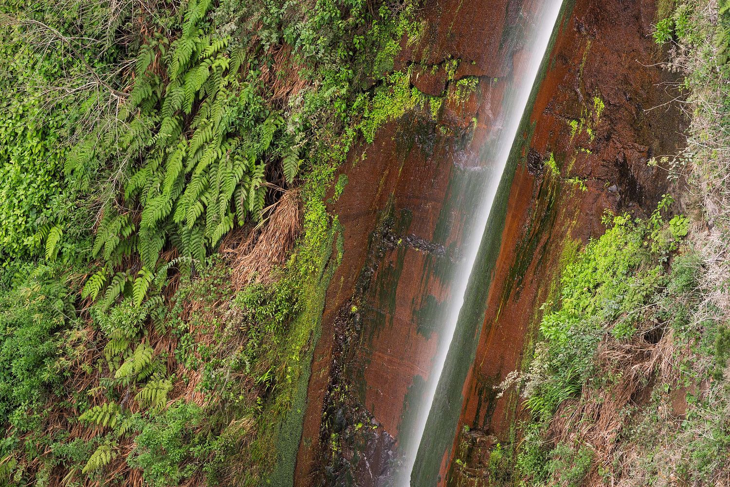 El Cedro waterfall