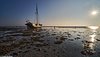 Midweek Oostelijke Waddenzee 5 dagen (4 - 8 mei 2026)