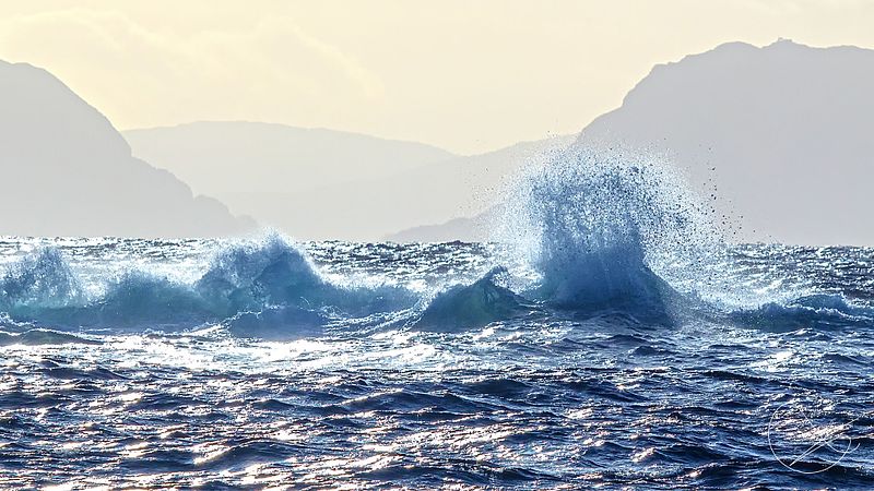 Ute på oppdrag fredag 4. november