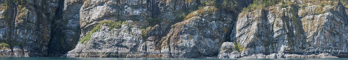 Kittiwake Cliff