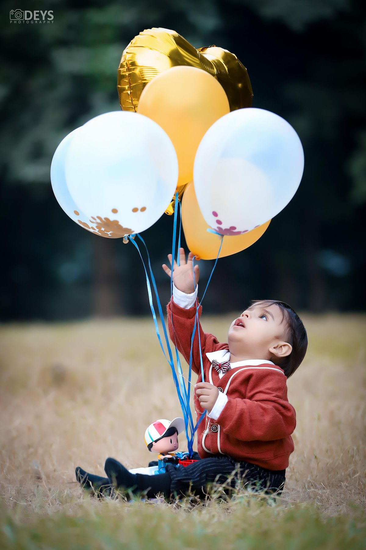 Outdoor 1st birthday photoshoot with balloons