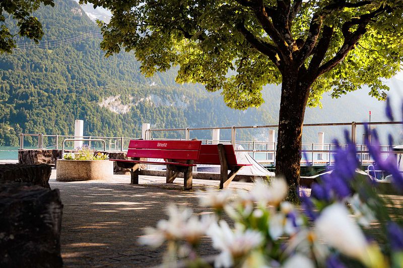Brienz: Wo Zeit stillsteht und Fotos lebendig werden