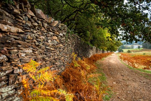 Feature Highlight Experience